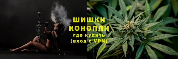 метадон Ельня