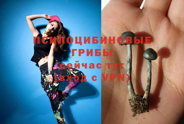 метадон Ельня
