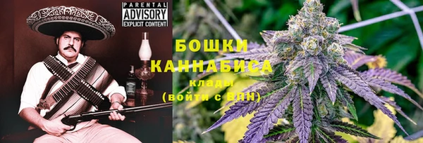 метадон Ельня