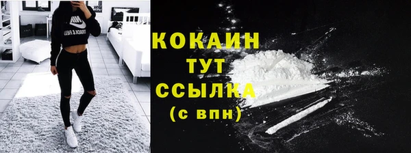 метадон Ельня
