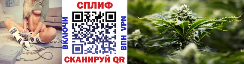 Купить где  Заволжск  Марихуана индика 